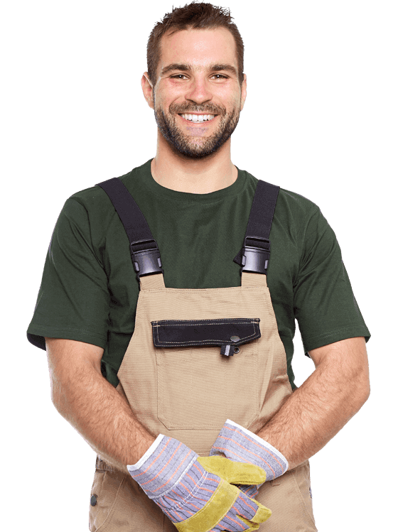 Image Title My Image