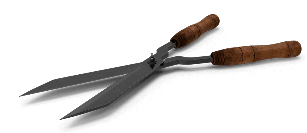 Image Title My Image