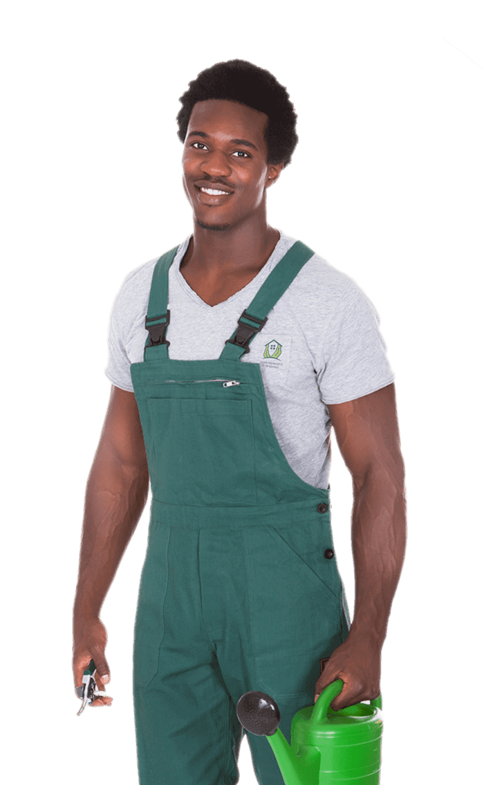 Image Title My Image